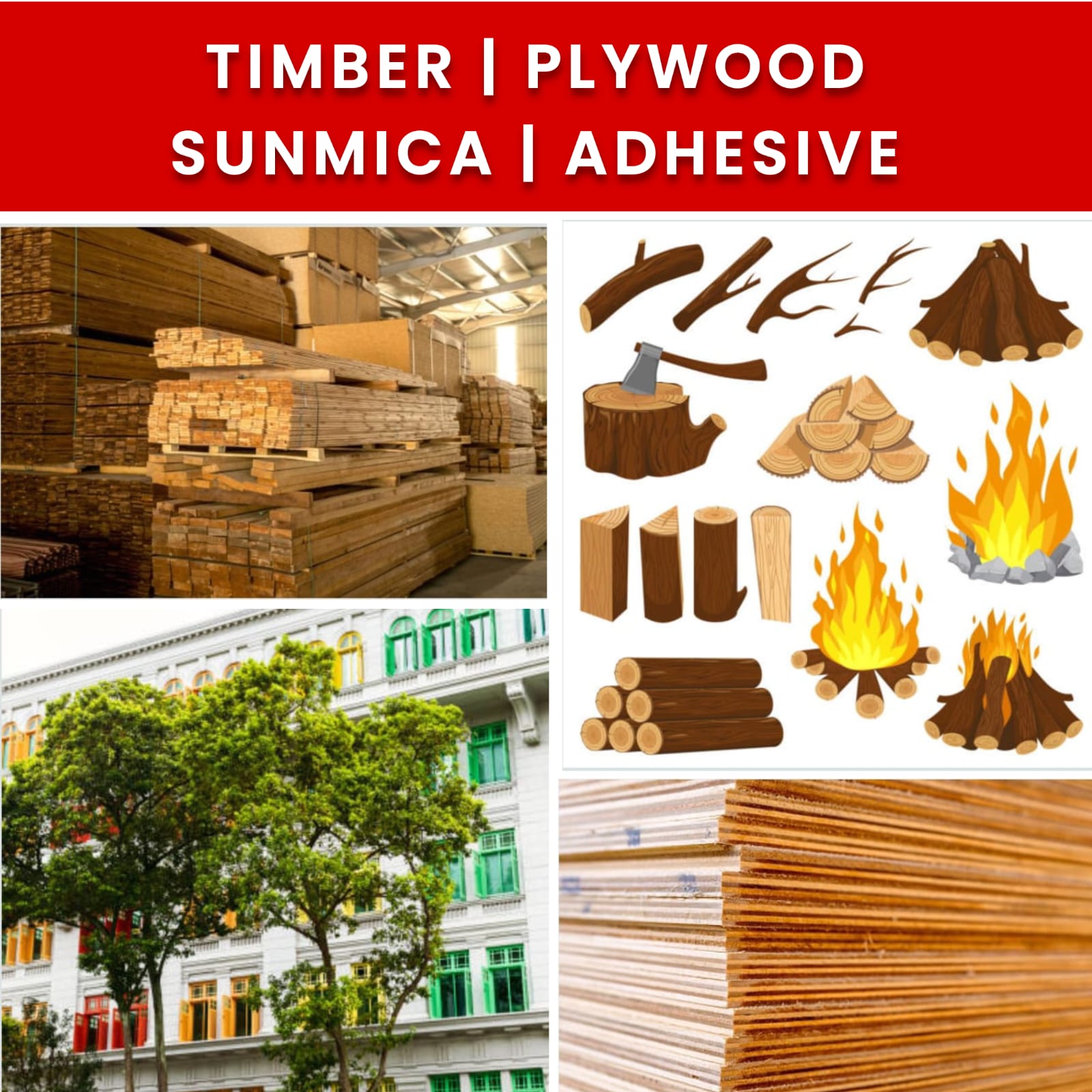 TIMBER | PLYWOOD | SUNMICA | ADHESIVE